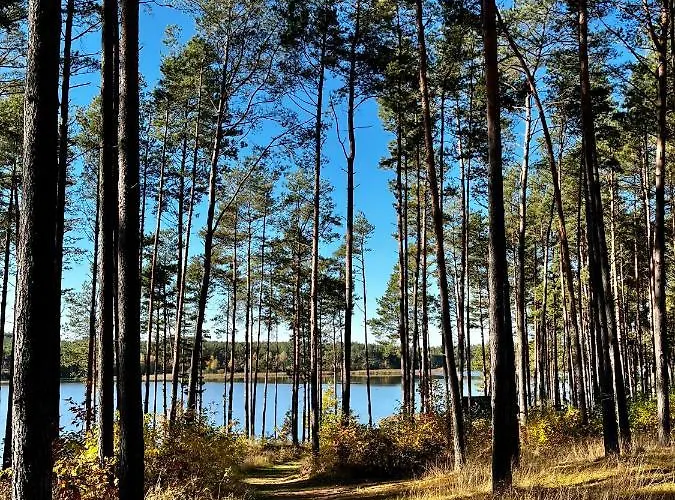 U Marcjana Kamienica Krolewska