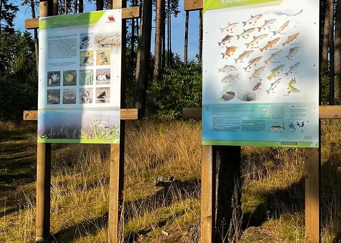 Domek letniskowy U Marcjana Kamienica Krolewska